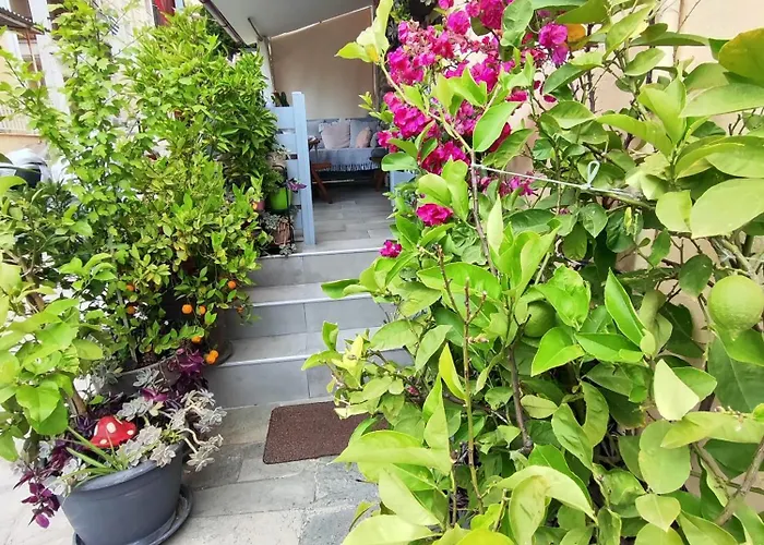 Margarita'S House 2